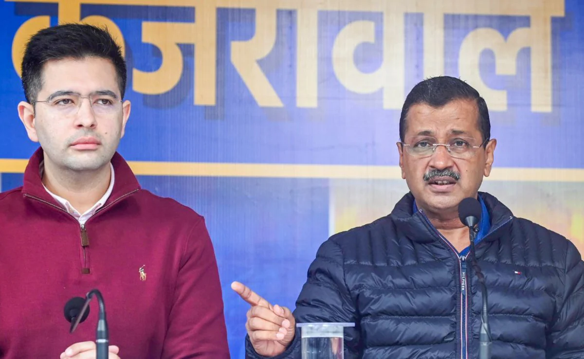 राघव चड्ढा ने AAP के वोटर लिस्ट वाले आरोपों को कहा बेबुनियाद राघव चड्ढा ने AAP के वोटर लिस्ट वाले आरोपों को कहा बेबुनियाद
